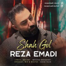 آهنگ جدید رضا عمادی به نام شاه گل